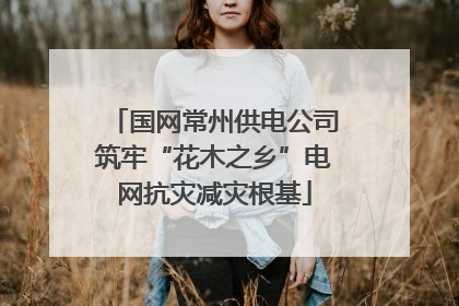 国网常州供电公司筑牢“花木之乡”电网抗灾减灾根基